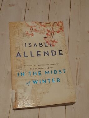 In The Midst Of Winter Adult Novel Book By Isabel Allende